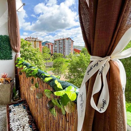 Sova Apartamento Vrsac Exterior foto