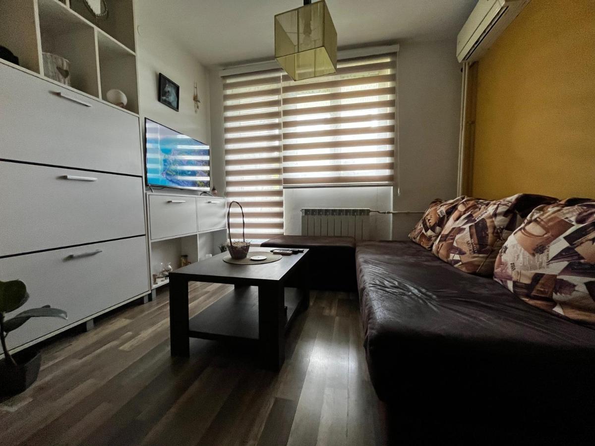 Sova Apartamento Vrsac Exterior foto