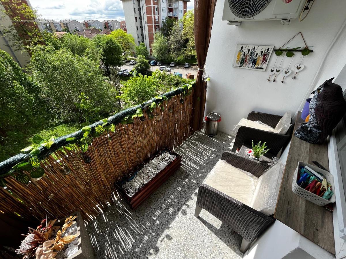 Sova Apartamento Vrsac Exterior foto