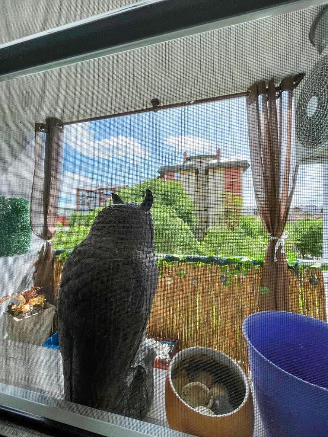 Sova Apartamento Vrsac Exterior foto