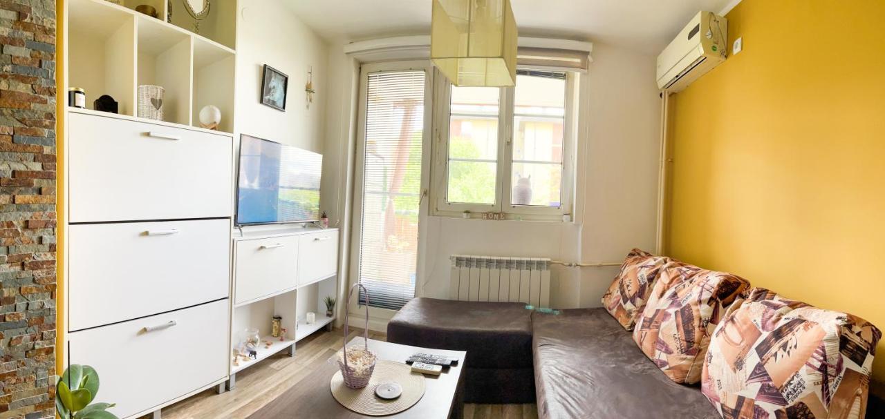 Sova Apartamento Vrsac Exterior foto