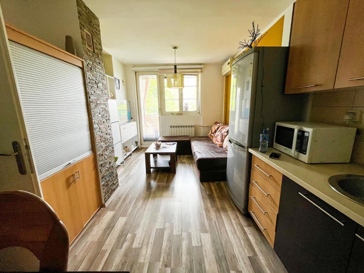 Sova Apartamento Vrsac Exterior foto